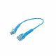 Câble de raccordement UTP CAT 6 - Couleur Bleu